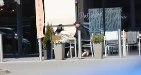 Galerie foto - poza 2