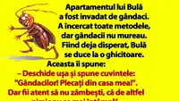 Bancul dimineții | Apartamentul lui Bulă a fost invadat de gândaci