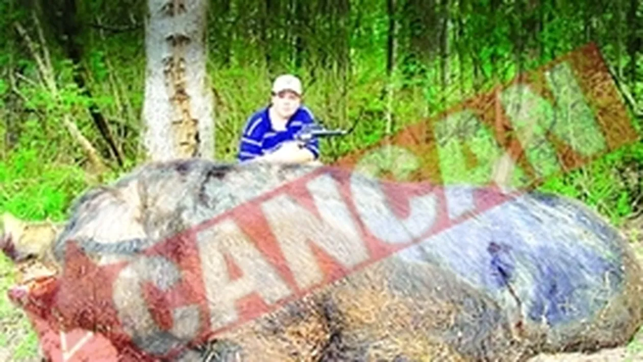 La 11 ani, a doborat un mistret de 500 de kg