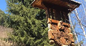 Galerie foto - poza 4