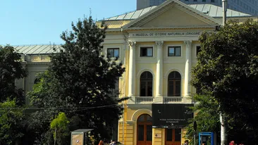 S-a elucidat misterul cadavrului mumificat gasit intr-un canal langa Muzeul Grigore Antipa!