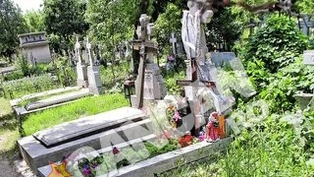 Chirias pakistanez in casa blestemata. Apartamentul Malinei Olinescu a fost inchiriat