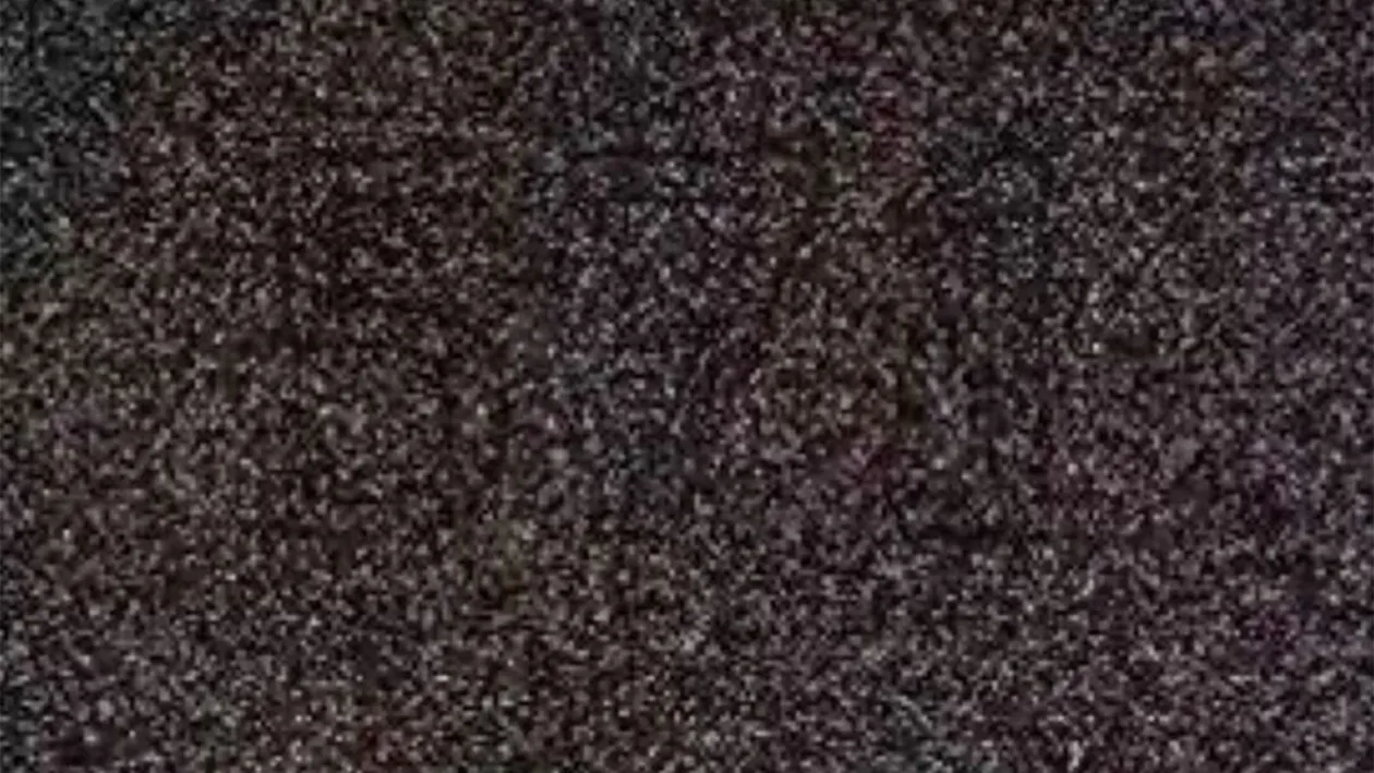 Test de inteligență | Doar 1% dintre oameni poate spune ce număr se ascunde în această iluzie optică