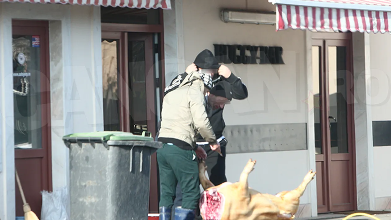 Cum s-a tăiat porcul la barul Buggy, de lângă casa lui Gigi Becali. Localul a fost făcut celebru de către verii Becali