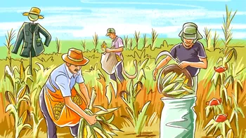 Test de logică | În această fotografie s-au strecurat 4 greșeli. Le puteți găsi pe toate?