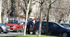 Galerie foto - poza 3