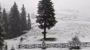 Avertizările meteorologilor s-au adeverit! Ninge ca-n povești în Bucegi. VIDEO
