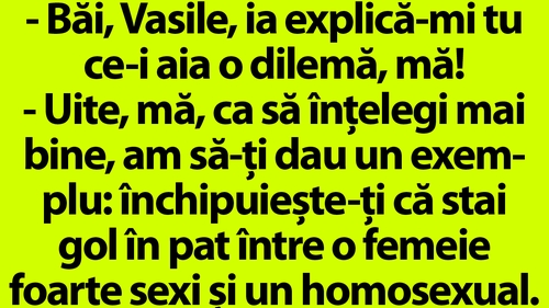 BANCUL ZILEI | "Băi, Vasile, ce este aia o dilemă?"