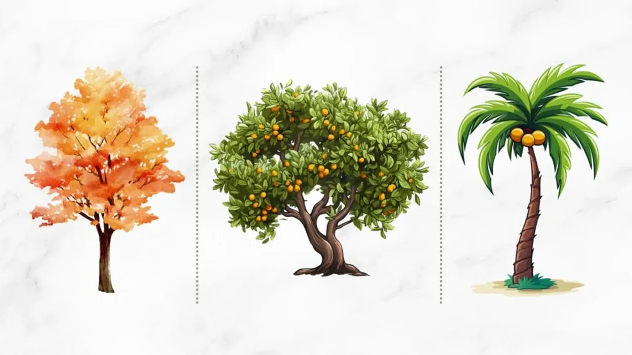 Cel mai tare test psihologic | Alege un copac! Răspunsul îți va dezvălui cel mai mare talent