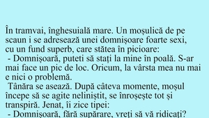 BANC | "Domnișoară, puteți să stați la mine în poală!"