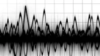 Ziua si seismul! Cutremur in Vrancea