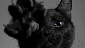 Stăpânul acestei pisici negre a vrut să afle dacă animalul are legături cu Diavolul. I-a îngheţat sângele după ce i-a desenat pe podea