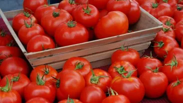 Nimeni nu stia asta pana acum! Rosia care te poate contamina cu pesticide! Nu mai manca tomate tuguiate!