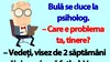 BANC | Bulă se duce la psiholog: „Care e problema ta, tinere?”