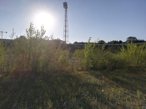 Stadionul Municipal din Bacău, fost ”Dumitru Sechelariu”, a a ajuns de nerecunoscut