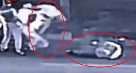 Galerie foto - poza 3