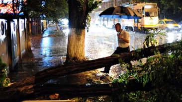 Circulaţia feroviară între Braşov şi Predeal este închisă pentru îndepărtarea copacilor căzuţi