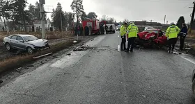 Galerie foto - poza 2