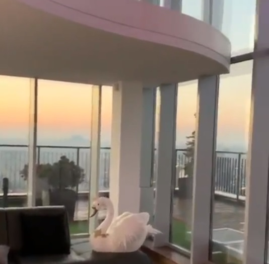 Imagini în premieră! Cum arată apartamentul Biancăi Drăgușanu. Îți vei schimba radical părerea despre ea