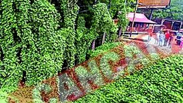 A supravietuit cinci zile sub o masina