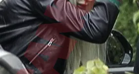 Galerie foto - poza 2