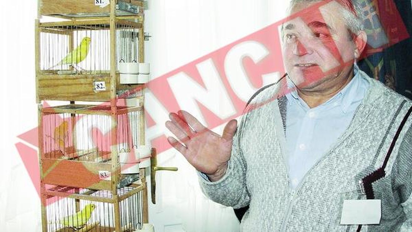 Are cei mai guralivi canari din Tara