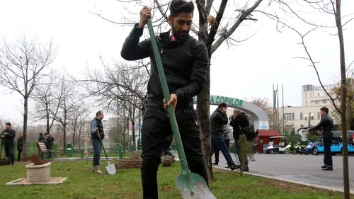 Vedetele au ajuns la sapa de lemn. Vezi cum se descurca Connect-R, Bodo sau Nicole Cherry la plantat de copacei