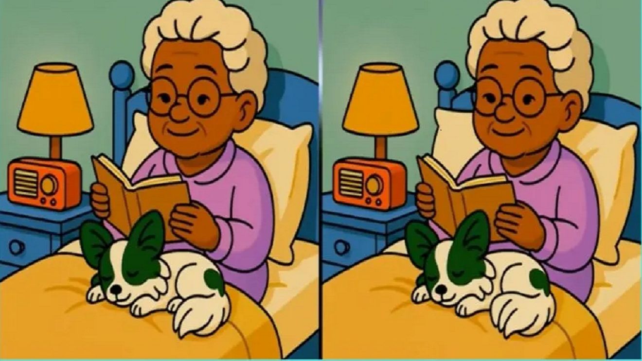 Test de logică | Aceste două imagini par identice, dar nu sunt. Găsiți 3 diferențe în 20 de secunde!