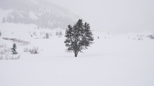 Prognoza meteo 27 februarie: Iarna a paralizat țara! Ce spun meteorologii