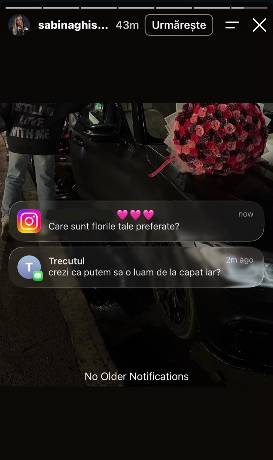 Mesajul postat de Sabina pe social media