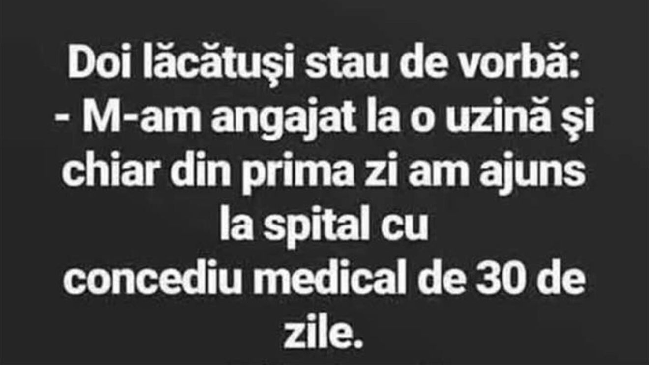 BANC | Doi lăcătuși stau de vorbă