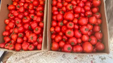 Preț record pentru roșii românești de anul acesta. Cât va costa un kilogram