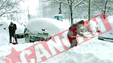 Vreme de primavara in ianuarie