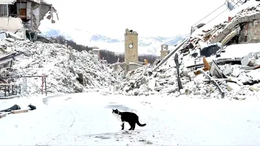 Situatie dramatica in Italia! Aproape 12 mii de oameni ramasi fara locuinta in urma cutremurelor se confrunta cu cea mai grea iarna de pana acum
