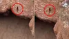 „Omul-Păianjen” din Yemen a murit în timp ce escalada un crater vulcanic uriaș. Cine a fost Al-Qa’qa’ bin Antar