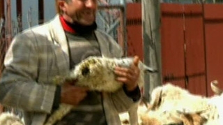 VIDEO Catalin Maruta si-a luat-o pe cocoasa de la Mirabela Dauer: "Te omor"! Amenintarea nu e gluma! Vezi ce s-a intamplat!