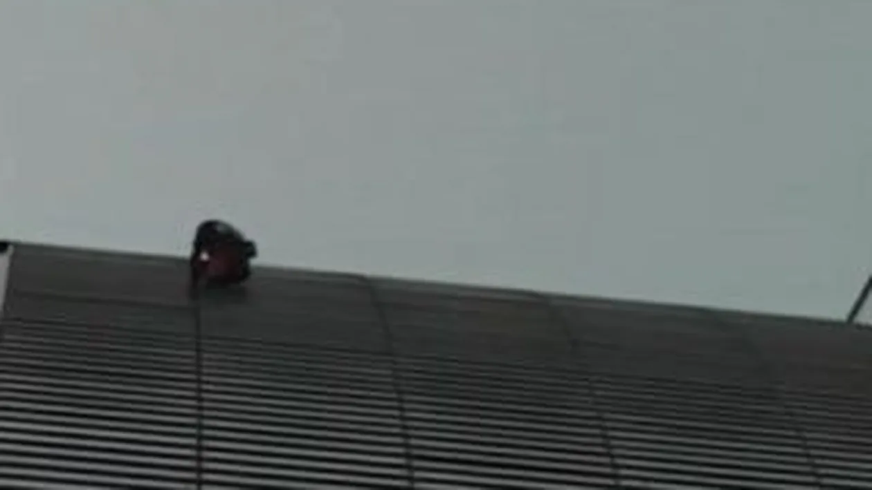 VIDEO Spiderman s-a catarat miercuri pe un turn din Paris, inalt de 185 de metri!