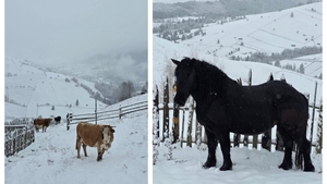 Localitatea din România în care ninge ca în mijlocul iernii! Imagini de ultimă oră