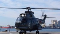 Drona căutată de MApN, găsită într-un nuc din Vrancea. Ce au descoperit militarii