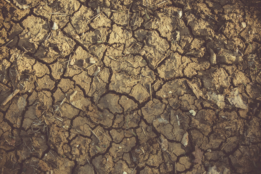 Poză cu caracter ilustrativ. SURSA FOTO: Pexels.com