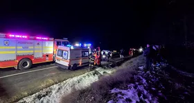 Galerie foto - poza 3