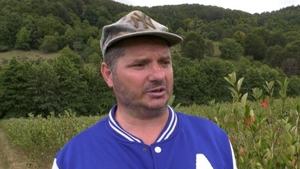 Ioan Ichim, șofer în Italia, și-a investit toți banii câștigați într-o afacere în România. Cu câți lei vinde un kilogram de ”aur negru”