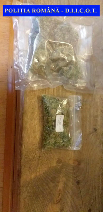 În urma perchezitiilor, polițiștii au ridicat 500 de grame de canabis, ustensile folosite la cultivare, cântare electronice, grindere pentru mărunțit canabisul, pastile ecstasy și ciuperci halucinogene