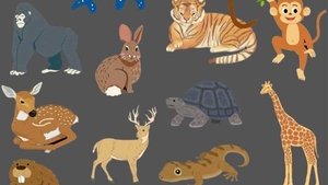 Test de logică exclusiv pentru genii | Care animal este diferit de toate celelalte?
