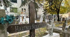 Galerie foto - poza 3