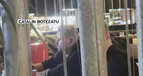 Galerie foto - poza 4