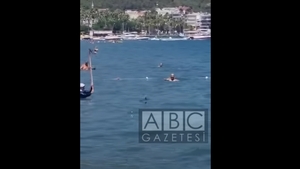 Imagini tulburătoare din Turcia. Un rechin a fost alungat cu mopul pe o plajă din stațiunea în care merg mulți români