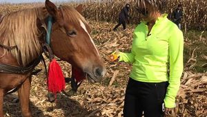 ANAMARIA PRODAN, afacere incredibilă! Impresara şi soţul ei deţin o fermă de porci foarte rari în România!