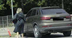 Galerie foto - poza 2