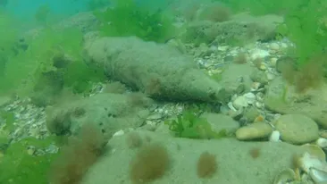 România este în pericol?! Un proiectil de război, găsit la 200 de metri distanță de țărmul românesc